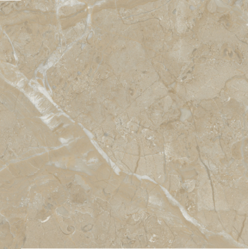 Fujian Factory 600x600 Glazed Porcelain Floor Tiles
