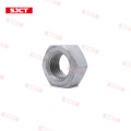 Stainless Steel Hot Galvanized HEX Nut