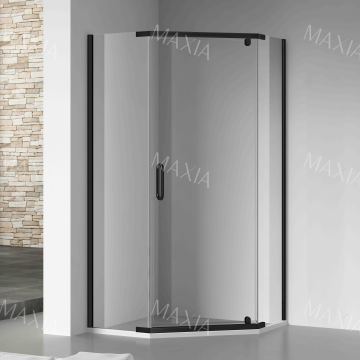 Душевая дверь душа из нержавеющей стали