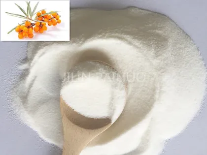 Sea Buckthorn Seed Oil Powder