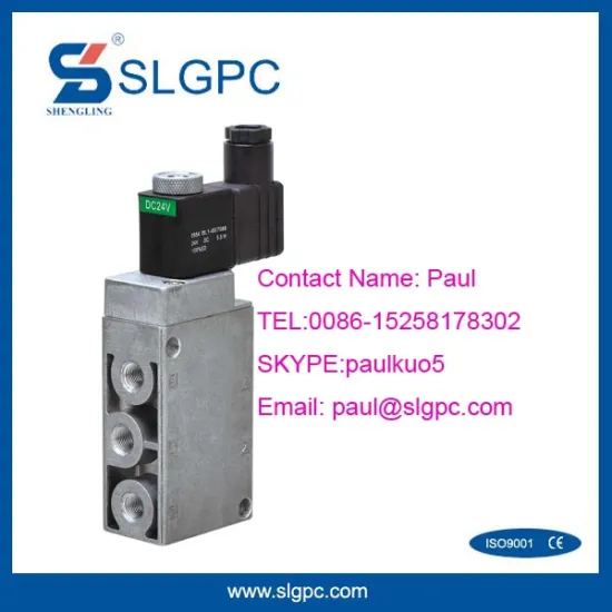 Chinese wholesale low price solenoid valve 220V AC slg series 5/2 way pneumatic air valve GBS-SLG-5-08