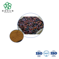 Burdock Root Powder 10:1 Natural Detox Supplement