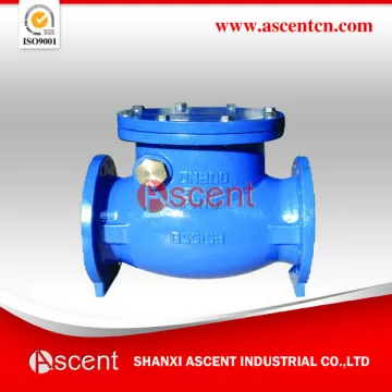 Ductile Iron Swing Check Valve Flap Check Valve