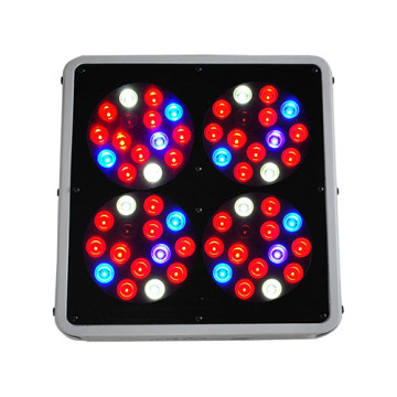 LED grow light Apollo grow light full spectrum use in farm light