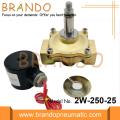 AC 220V Solenoid Vlave Für die Wasserindustrie