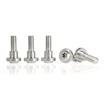 Titanium Bolts M6 x 20mm - Fit R1 R6 FZ1000 FJR1300 Front Rear Disc (Silver Type A)