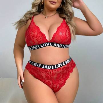 High Quality Plus Size Sexy Lingerie Set: Push-up Bra and Panty