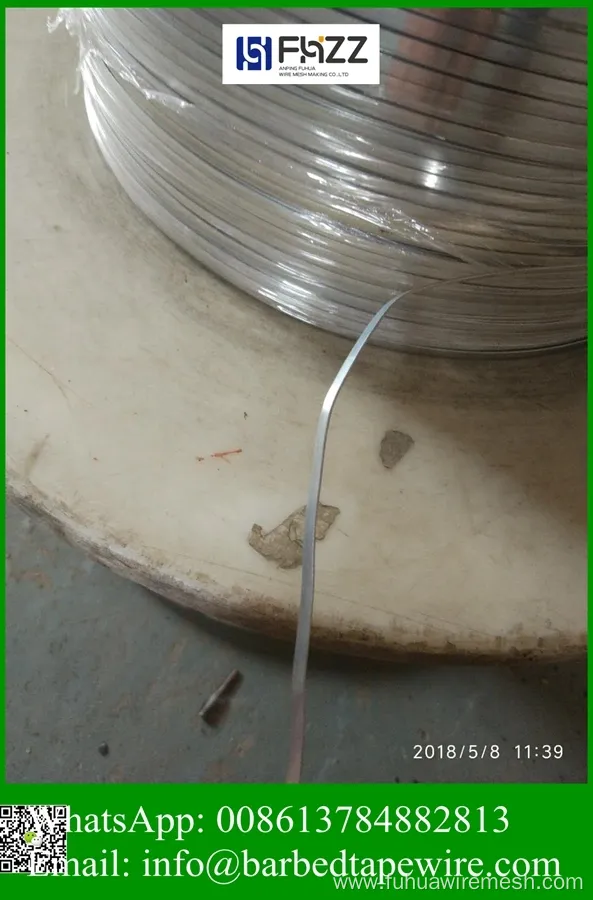 Export Brazil Paraguay Uruguay Oval Steel Wire