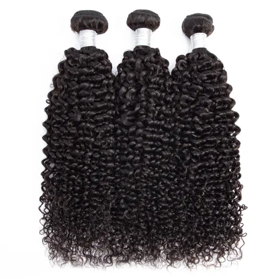 Wholesale Virgin Hair Vendors Curly Weave Grade 9A Raw Mink Unprocessed Natural Hair Extension Brazilian Human Hair Bundles