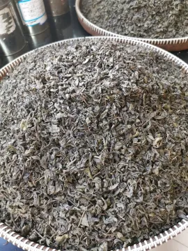 Central Asia Green tea