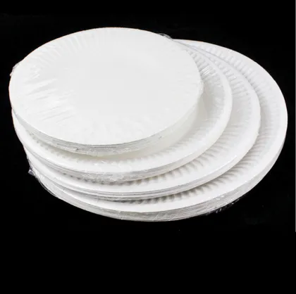 Biodegradable Disposable Paper Plates & Tableware