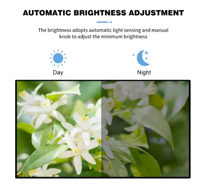 Digital Floor Signage and LCD Window Advertising Displays