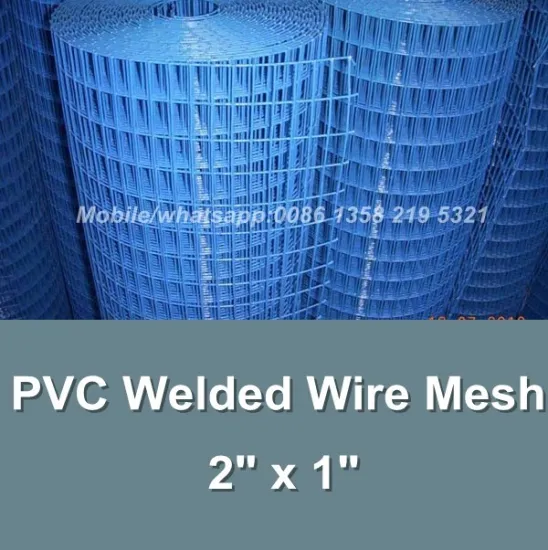china anping factory blue color welded wire mesh