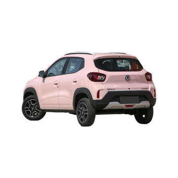 Hot Sale: Dongfeng Nami Box SUV New Energy Electric Vehicle - Cheap Nano Box Car for Adults