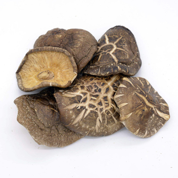 Best Dried Shiitake Mushrooms