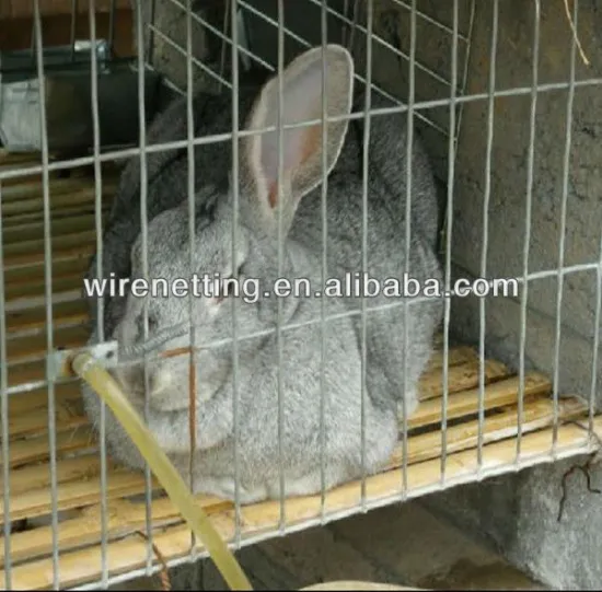 Galvanized Welded Rabbit Cage Wire Mesh factory