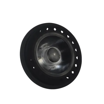 Grill lamp 50w Citizen cob ar111 grill light 3*16w