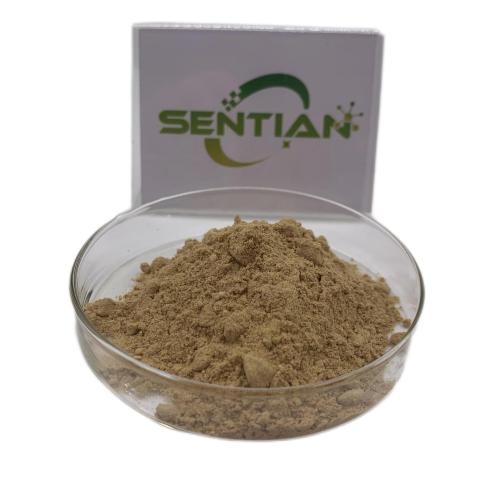Tongkat Ali pure eurycomanone Tongkat Ali Extract
