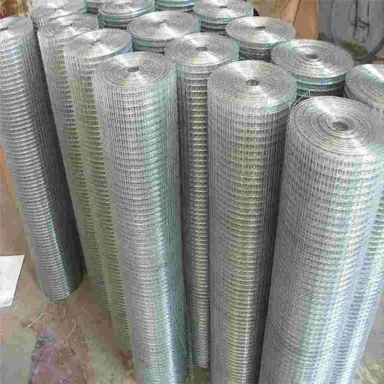 3/4 Welded Wire Mesh Rolls With Square Hole