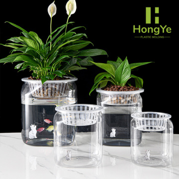 چهار کاسه ماهی مربع شفاف در اندازه های مختلف