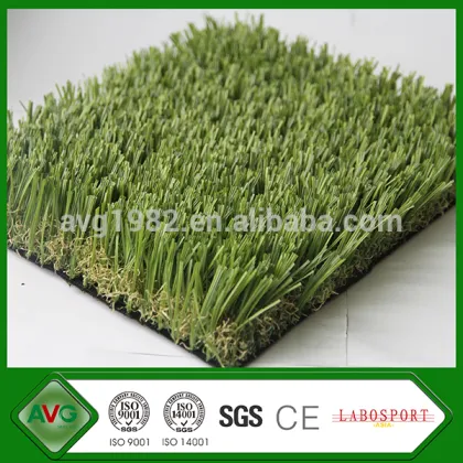 2016 AVG New Product S Shape Upright Ornamental Grasses For Shady Areas