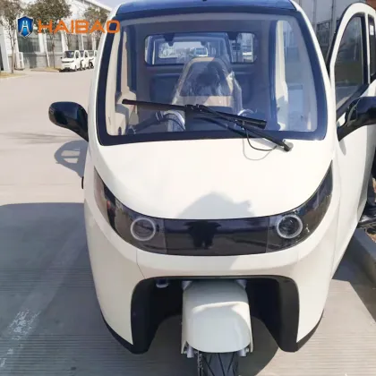HAIBAO Brand 3 Wheeler Electric Car for Adults and Seniors