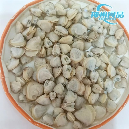 Vongole vive sostenibili e carne congelata pulita