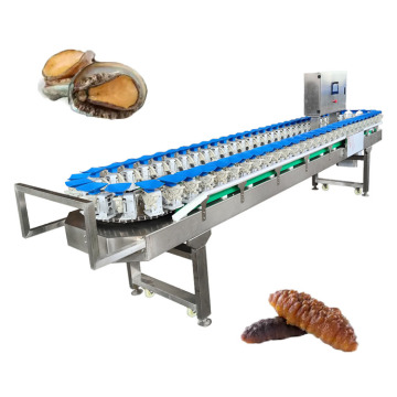 Vegetable and Fruit Sorting Machine: Onion, Cucumber, Carrot, Orange, and Sweet Potato Grading Equipment