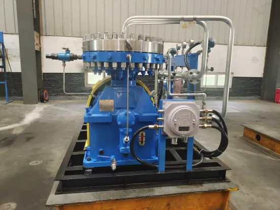 A small diaphragm compressor