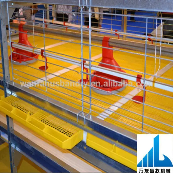 automatic broiler chiken cages poultry farm