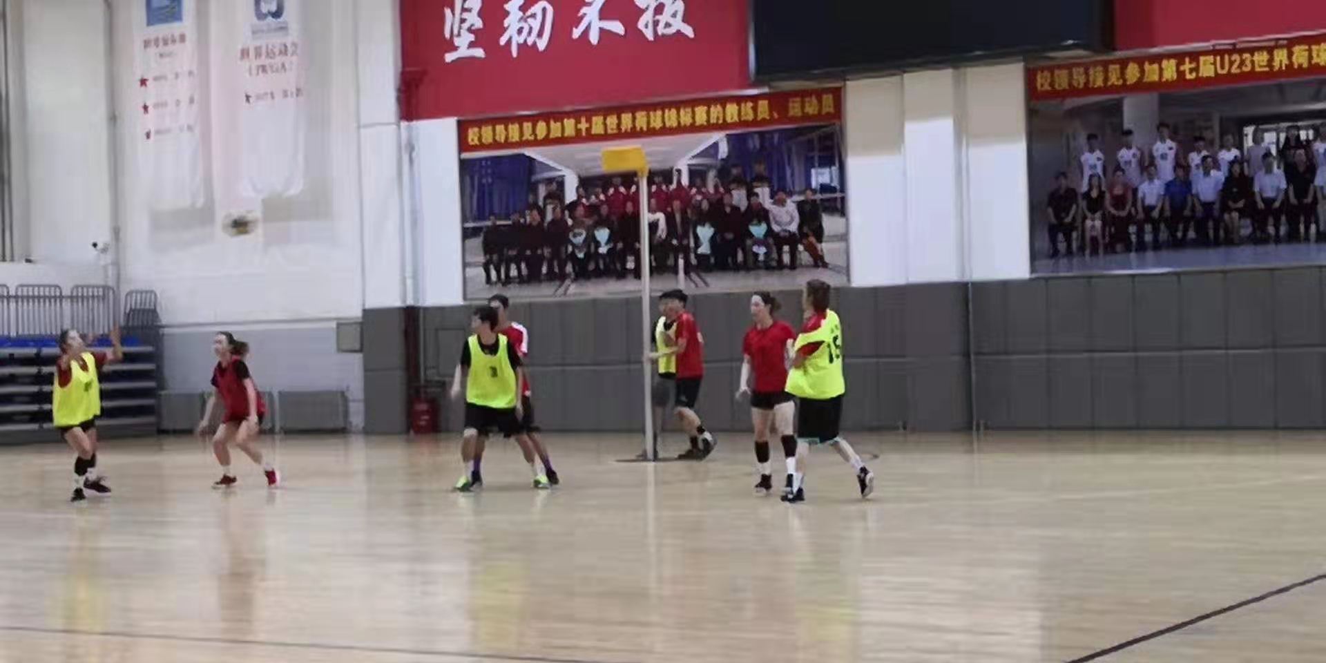 movable aluminum alloy korfball hoop