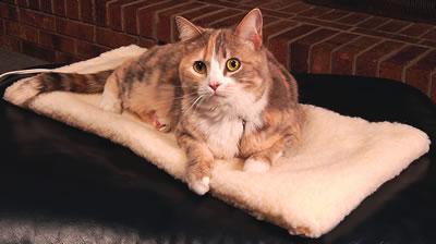 Hot Selling Flexible Heated Pet Bed