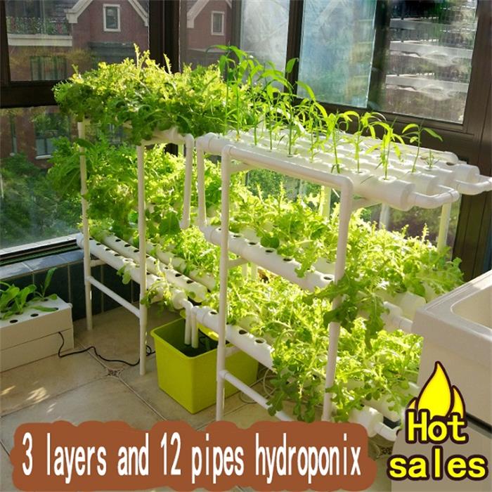 hydroponic system