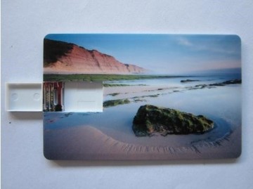 Business Card USB Flash Drive with Full Printing