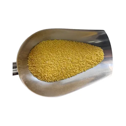 Wholesale Premium Chinese Millet: A Nutritious Treasure for the World