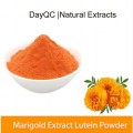 Extracto de flores de caléndula Lutein Powders a granel