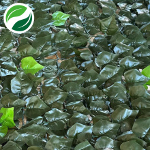 Folhas líquidas extrusadas simuladas de batata-doce