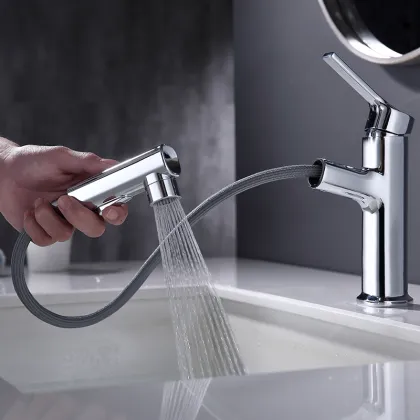 Bathroom Pull Out Faucet