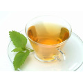 lemon balm leaf extract Capsule benefits