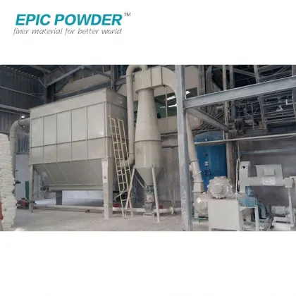 Caco3 Powder Surface Coating Machine Technology