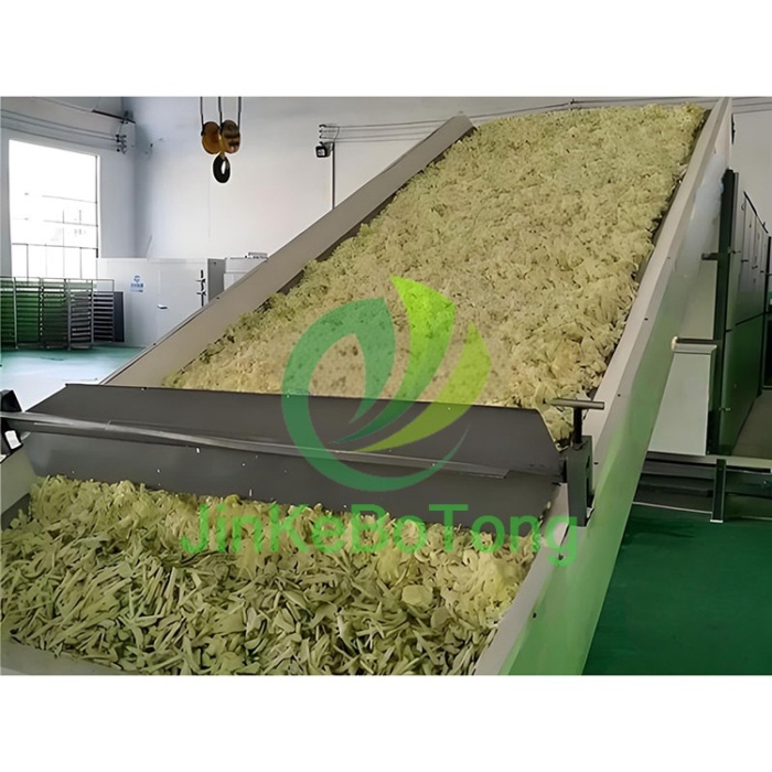 Optimized Mesh Belt Drying Solution