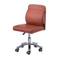 Master Chair& Spa Stool Salon Furniture