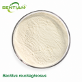 Bacillus mucilaginosus Potassium Solubilizing Fertilizer