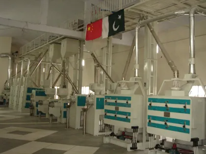 CLJ Brand 100TPD Auto Rice Mill Plant: Complete Rice Processing Line