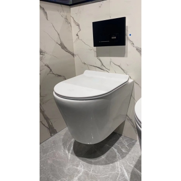 Australia's Floating Toilets and Cisterns: Consistent Wall Hanging Solutions