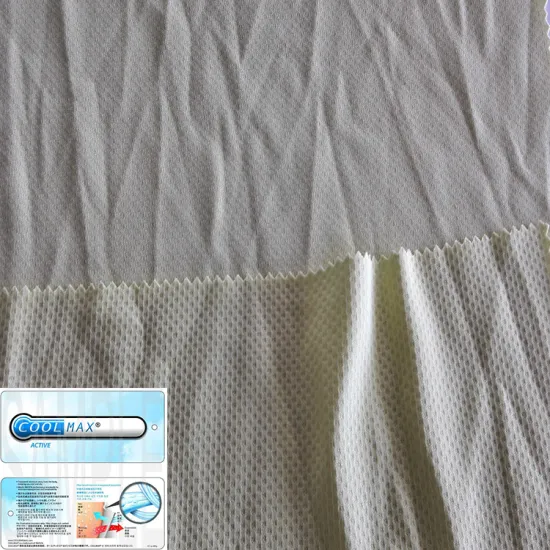 stocklot woven shirting with plain dyed moroccan cotton textile in fabric