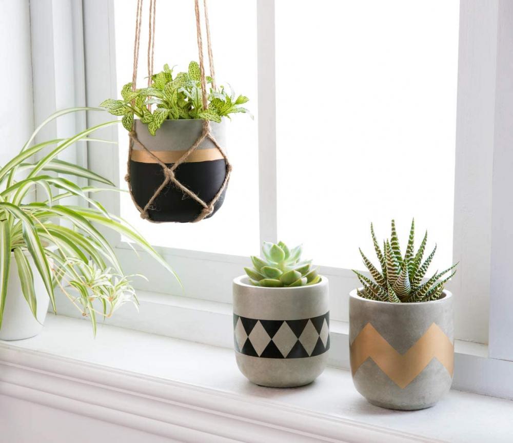 Cadeau de décoration intérieure pour petites plantes