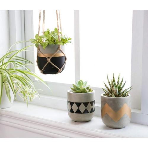  etc Small Plants Home Decor Gift Manufactory