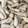 Kernel dei semi di girasole crudo della dimensione jumbo in vendita