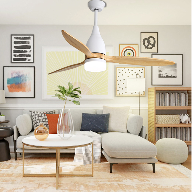 Super quiet ceiling fan with timing function